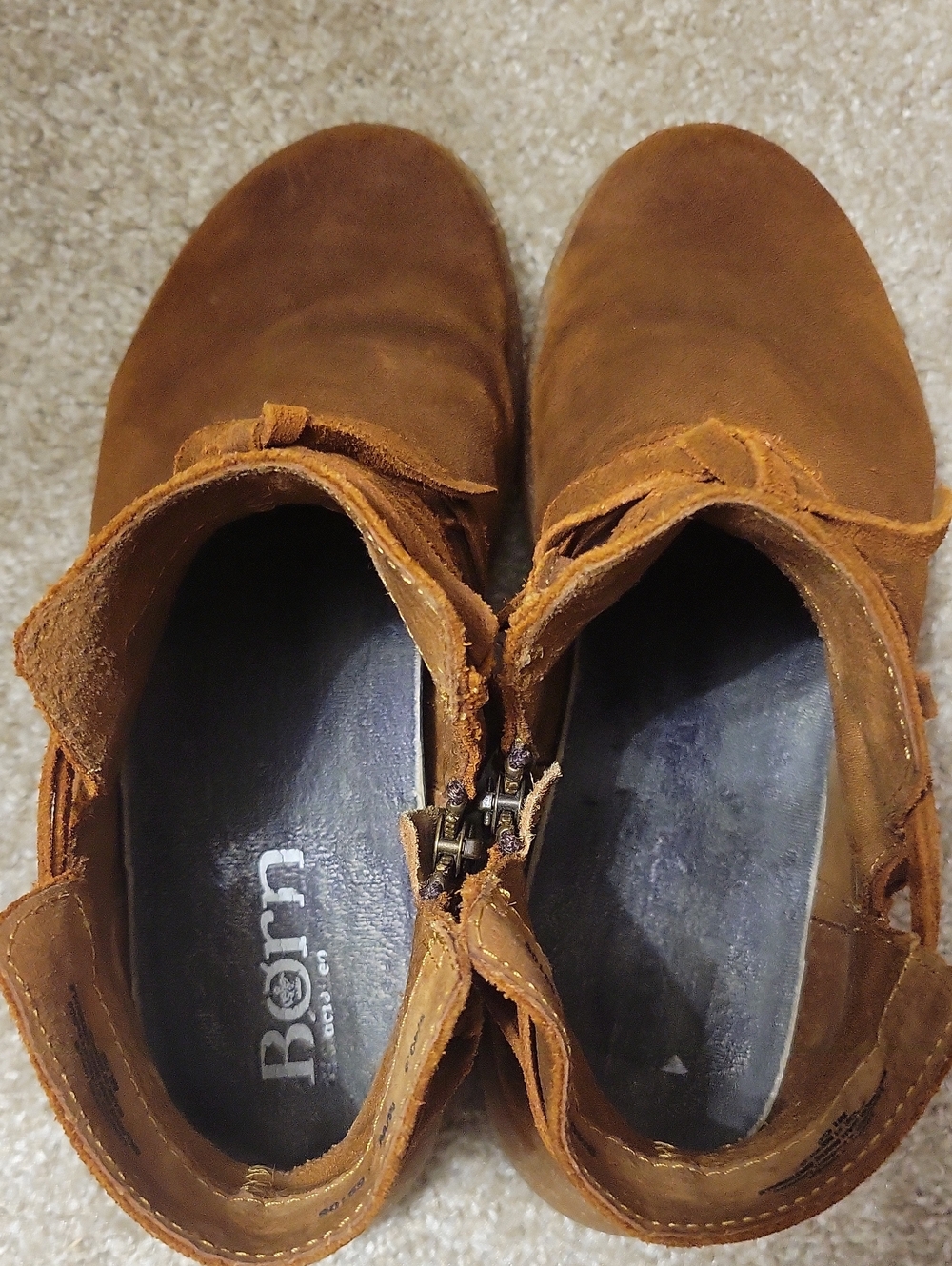 Born Suede Booties - Picture 5 of 7